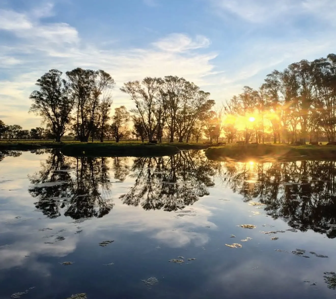 Laguna y arboleda de Las Caballerizas al atardecer